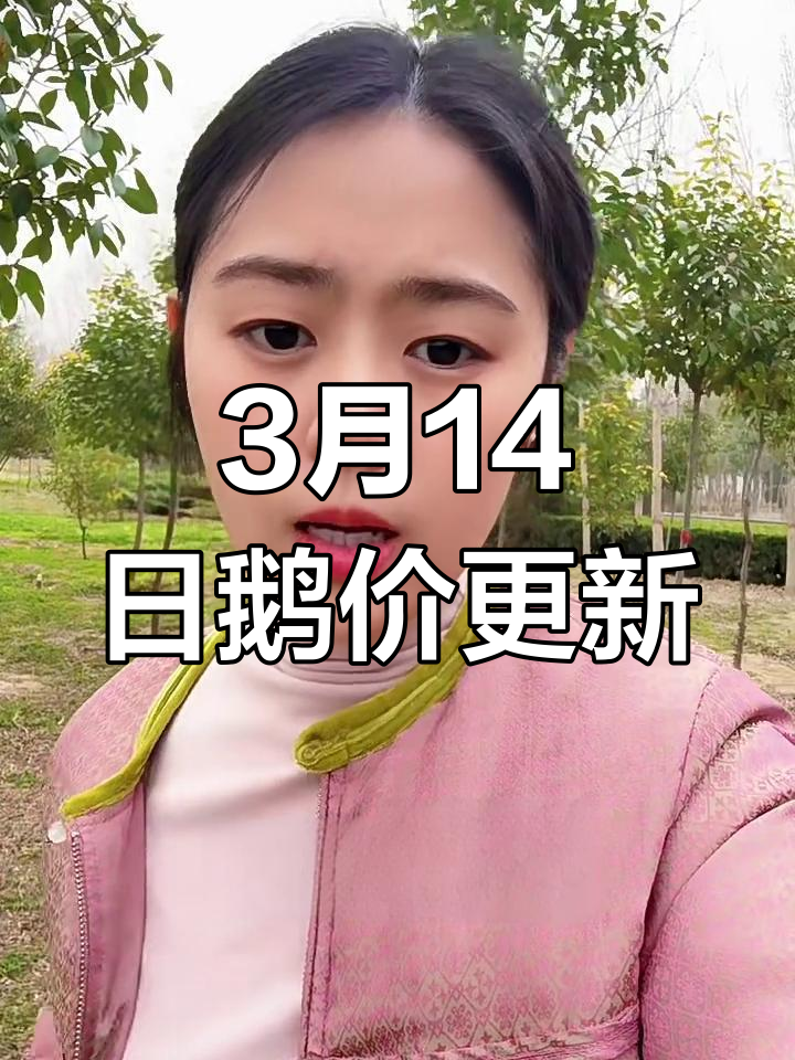 3月14日鹅苗价格大变动,市场最新报价一览