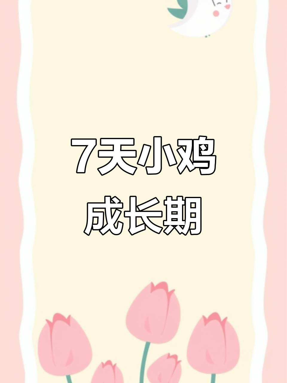 小鸡出壳到长尾的成长全过程,超萌变化!