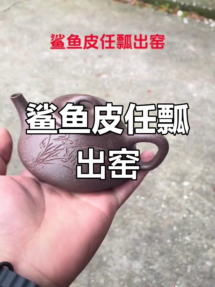 鲨鱼皮紫砂壶烧制成功,三十亩嫩条惊艳登场