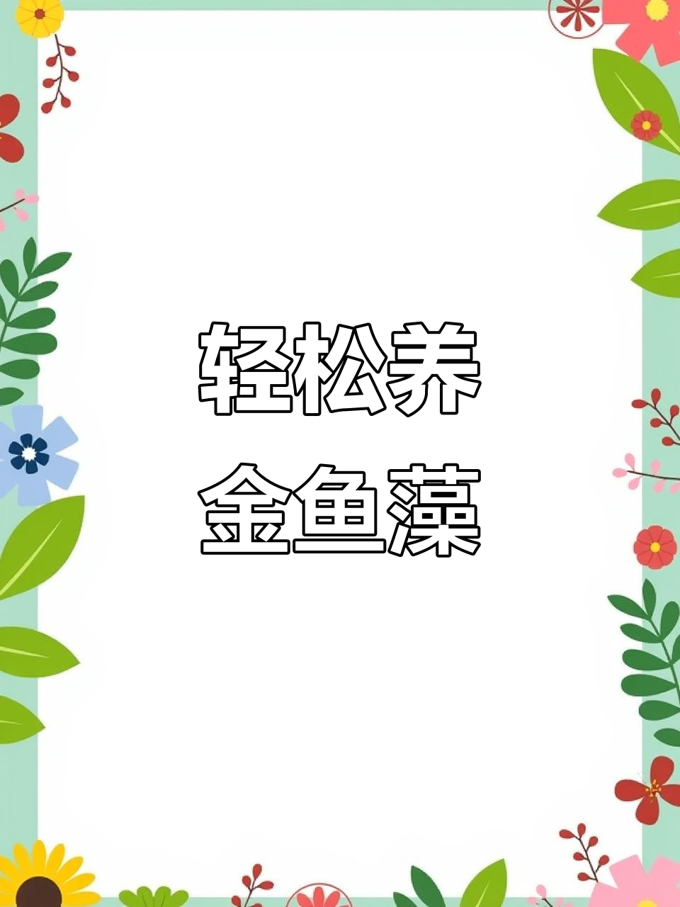 金鱼藻水草,养在鱼缸里既美观又净化水质