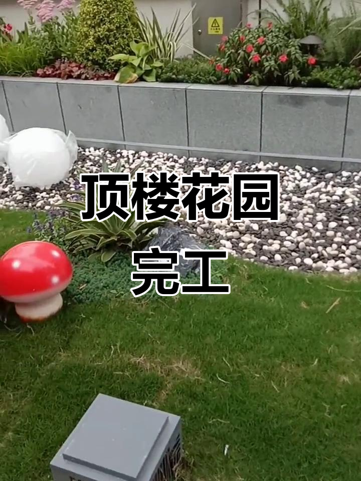 顶楼露台花园完美收工,实景拍摄效果惊艳