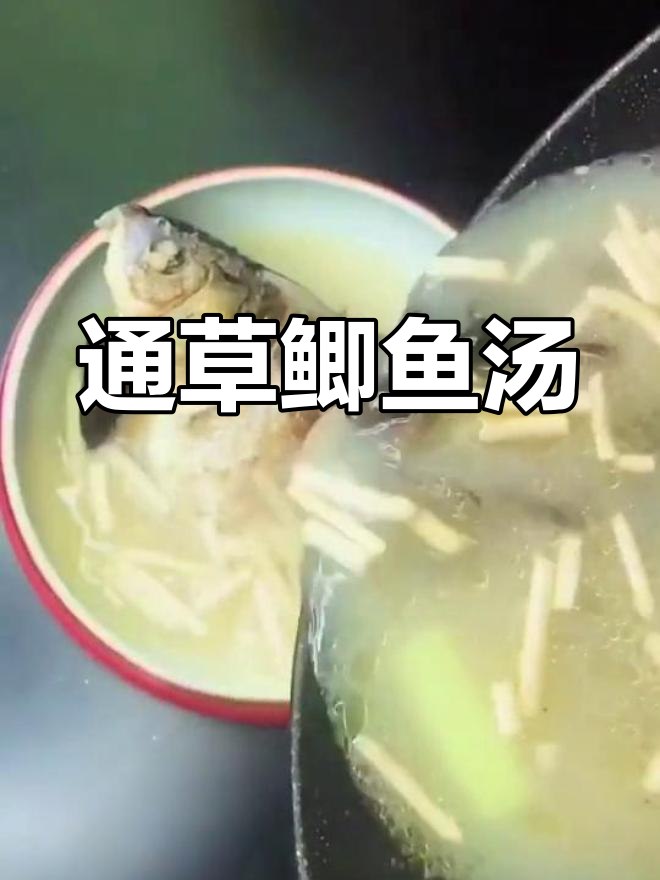产后滋补通草鲫鱼汤,轻松制作