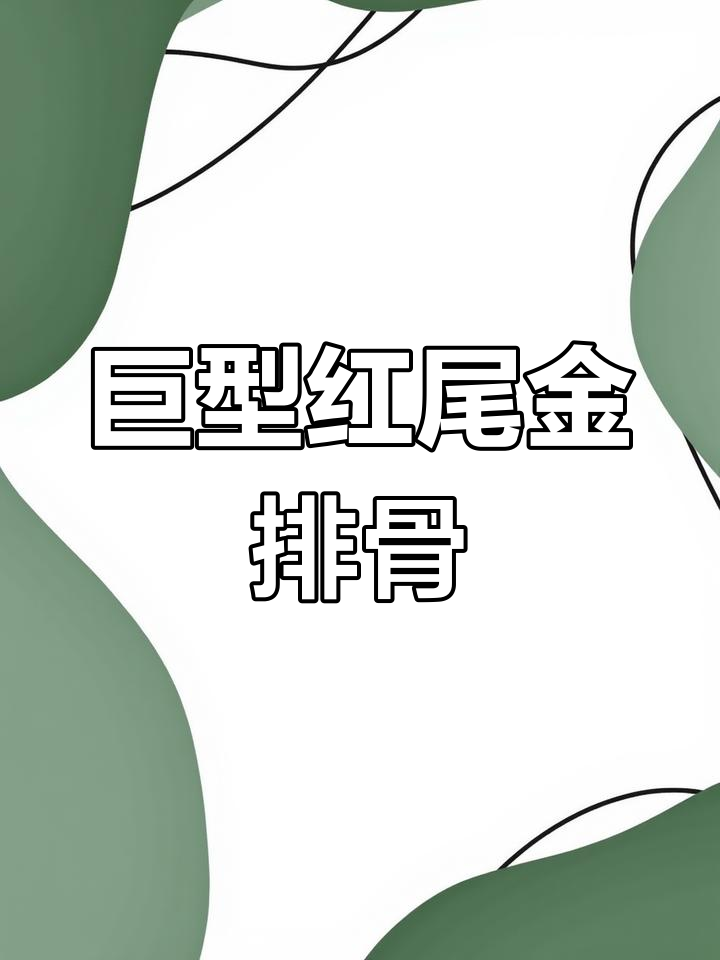 红尾金排骨:南美猛鱼,速度快适合混养