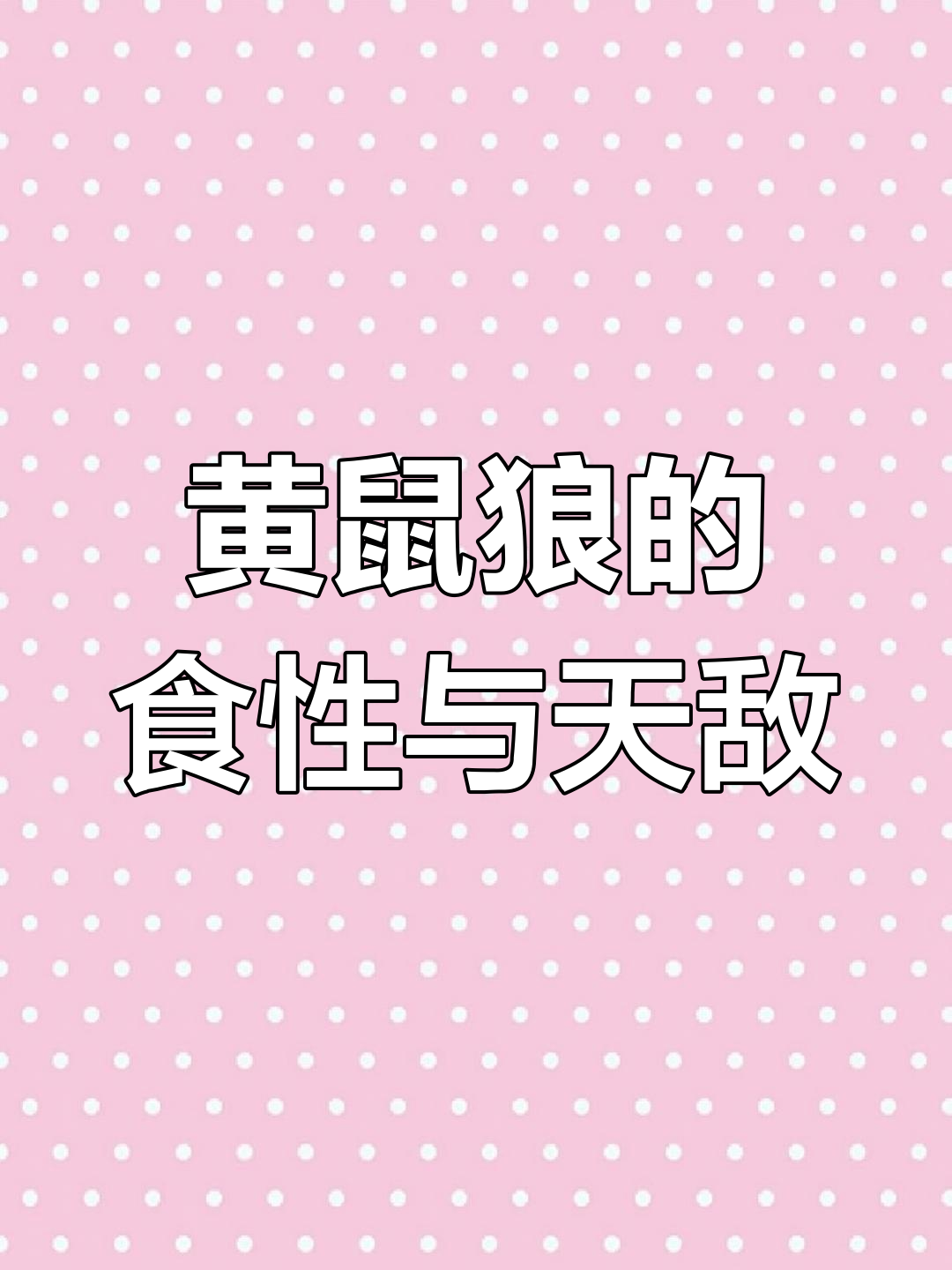 黄鼠狼最爱吃什么?它的天敌竟然是这种动物!
