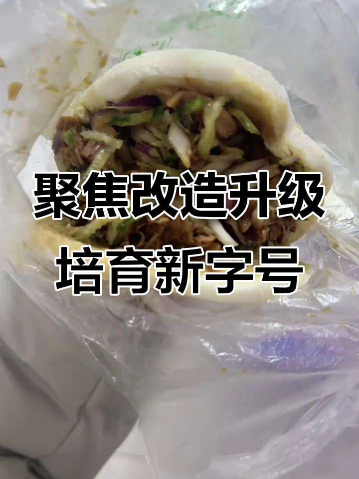 鸡西市长谈传统产业升级与新动能打造