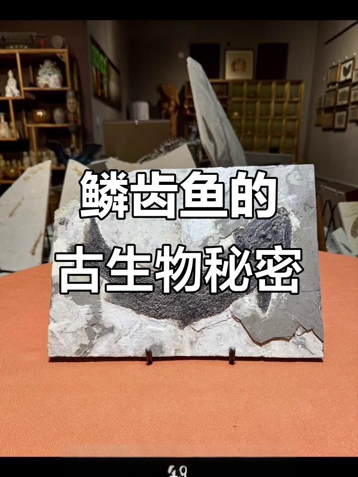 鳞齿鱼：早期浮鳍鱼类揭秘，侏罗纪恐龙的主食