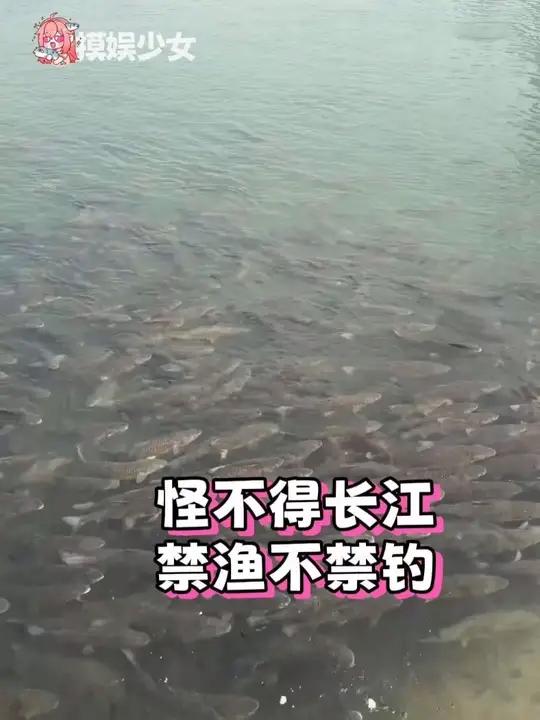长江钓鱼佬空军回家说自己出门做公益去了#长江 #钓鱼佬 #打窝 #禁渔 #空军佬