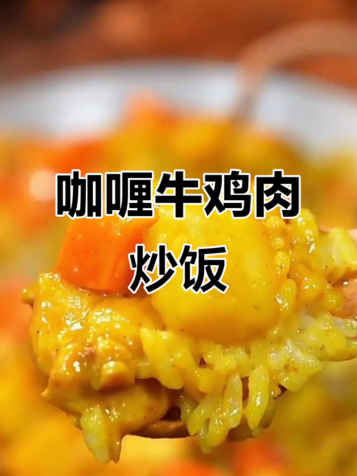 猫小蓓咖喱牛肉鸡肉饭,鱼蛋黄与原味咖喱粉的完美搭配