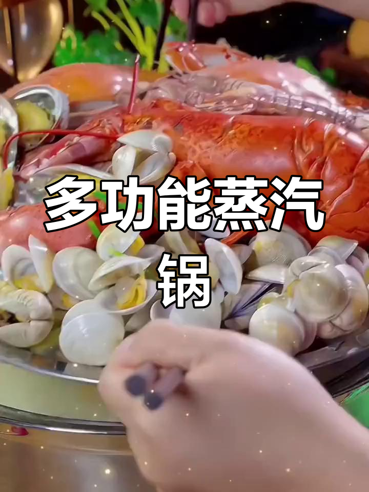 蒸汽火锅,蒸煮两用,厚底电磁炉家用,海鲜汤锅一体