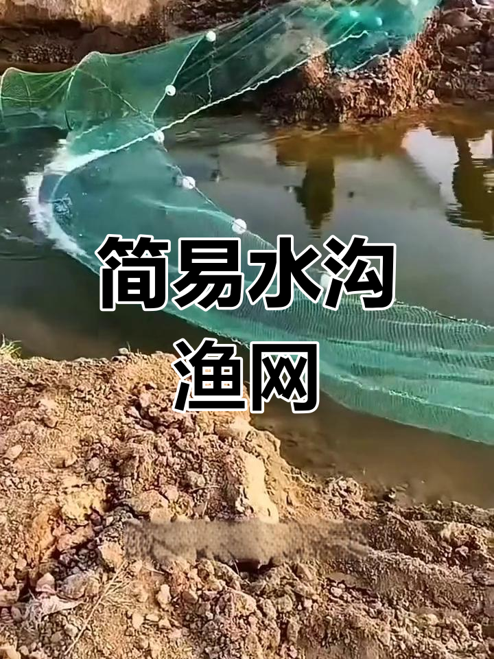 水沟拦河网,轻松捕鱼
