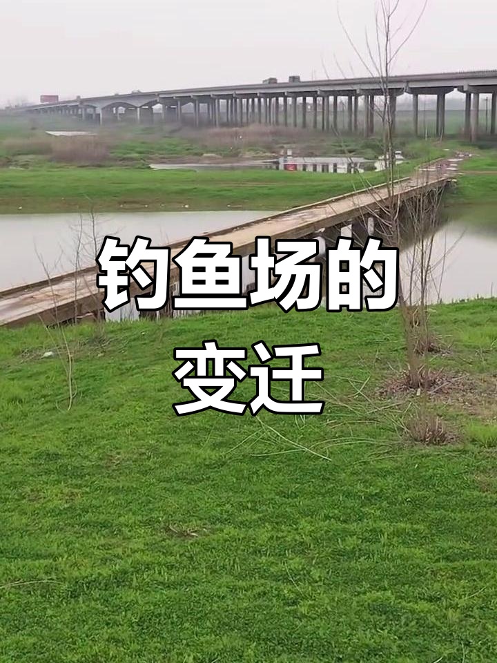 曾经热闹的钓鱼场,如今空无一人,告示牌成了孤独的见证
