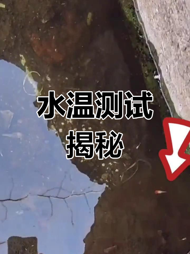 天气转凉,水沟里的孔雀鱼竟然还活着!决定测测水温