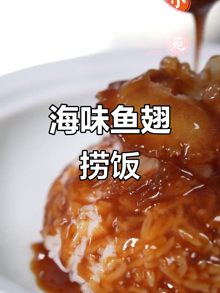 鱼翅捞饭,海鲜与米饭的完美结合,鲜香四溢让人无法抗拒
