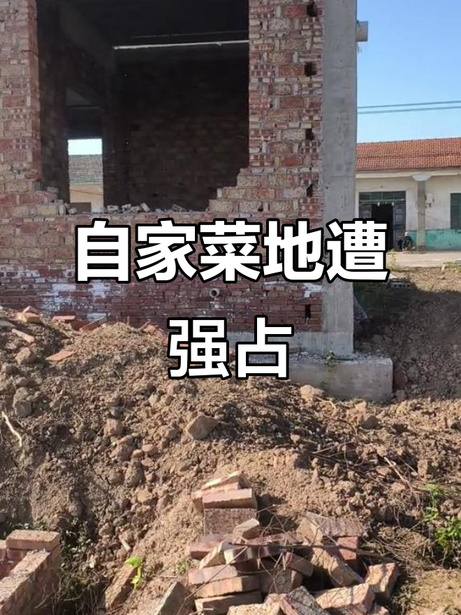 菜地被占建房,胆大妄为者越来越多