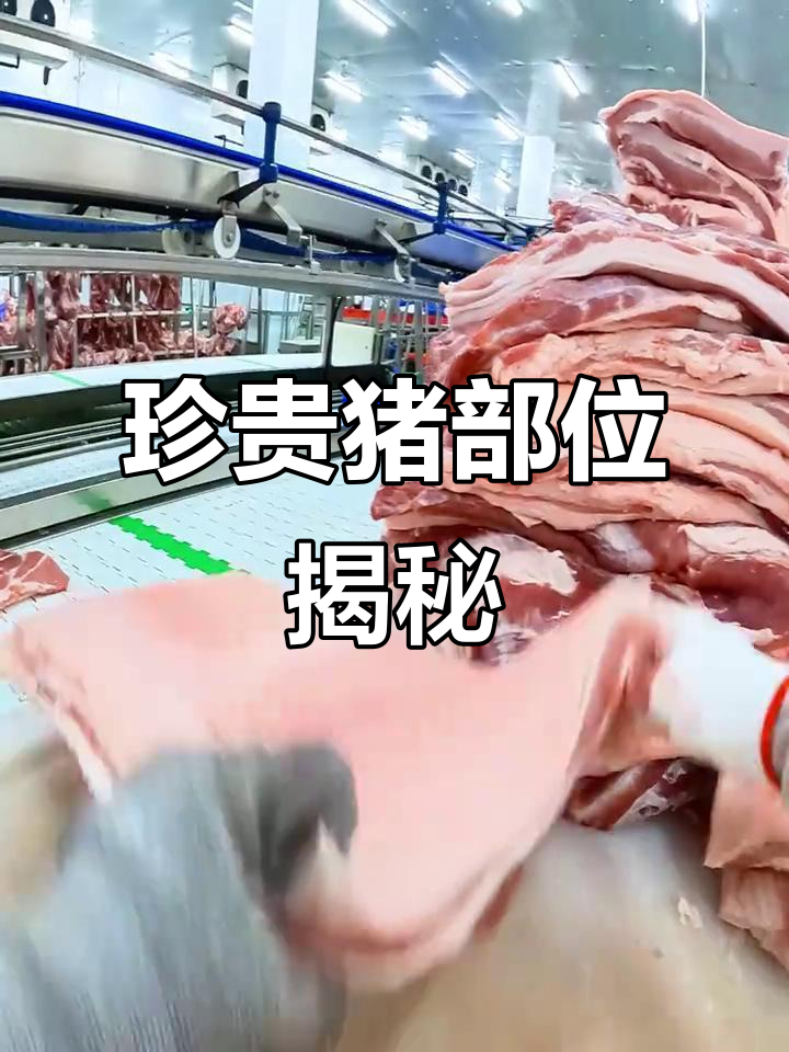 猪身上最珍贵的部位,市场难寻,你知道是什么吗?