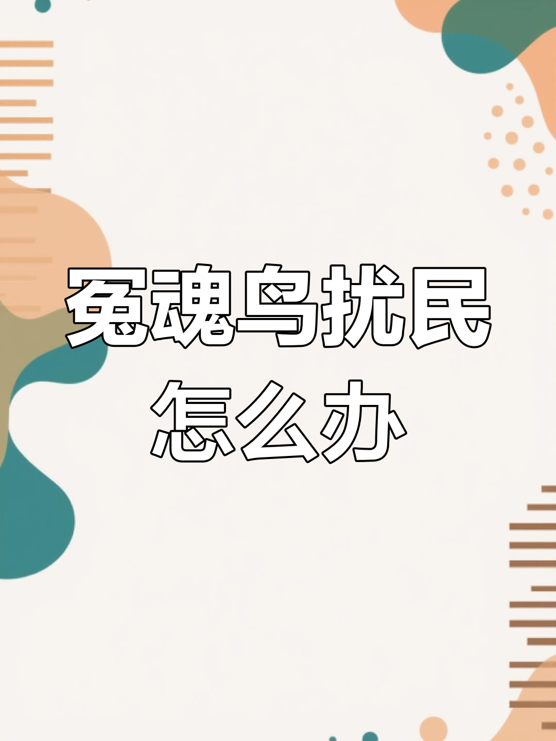 鲨鱼卵孵化过程:从空气进入,斑纹逐渐显现