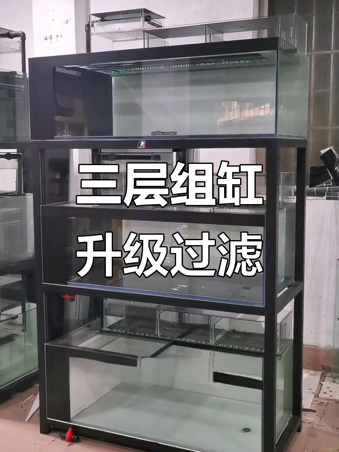 鱼缸升级侧滤与上滤，过滤效果大幅提升