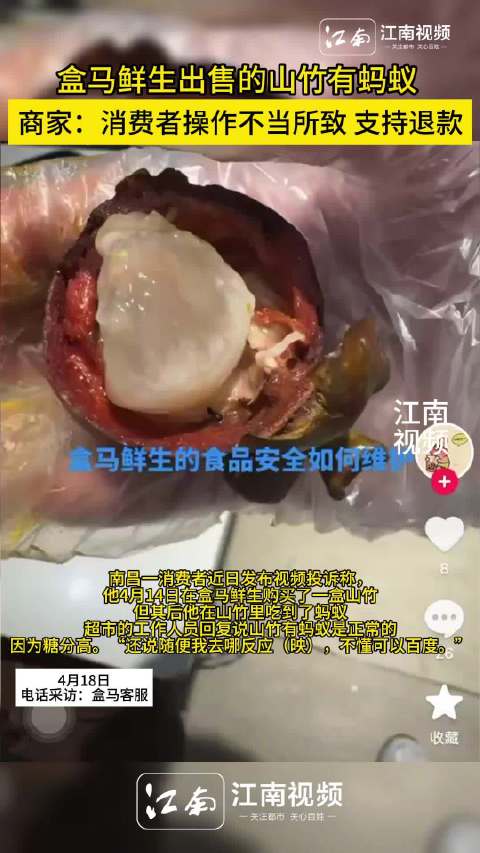 「盒马鲜生买的山竹有蚂蚁 商家:消费者操作不当所致 支持退款 但不支持给予10倍的赔偿」江