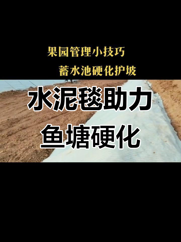 鱼塘护坡新方法:水泥毯替代混凝土,快速施工又耐用