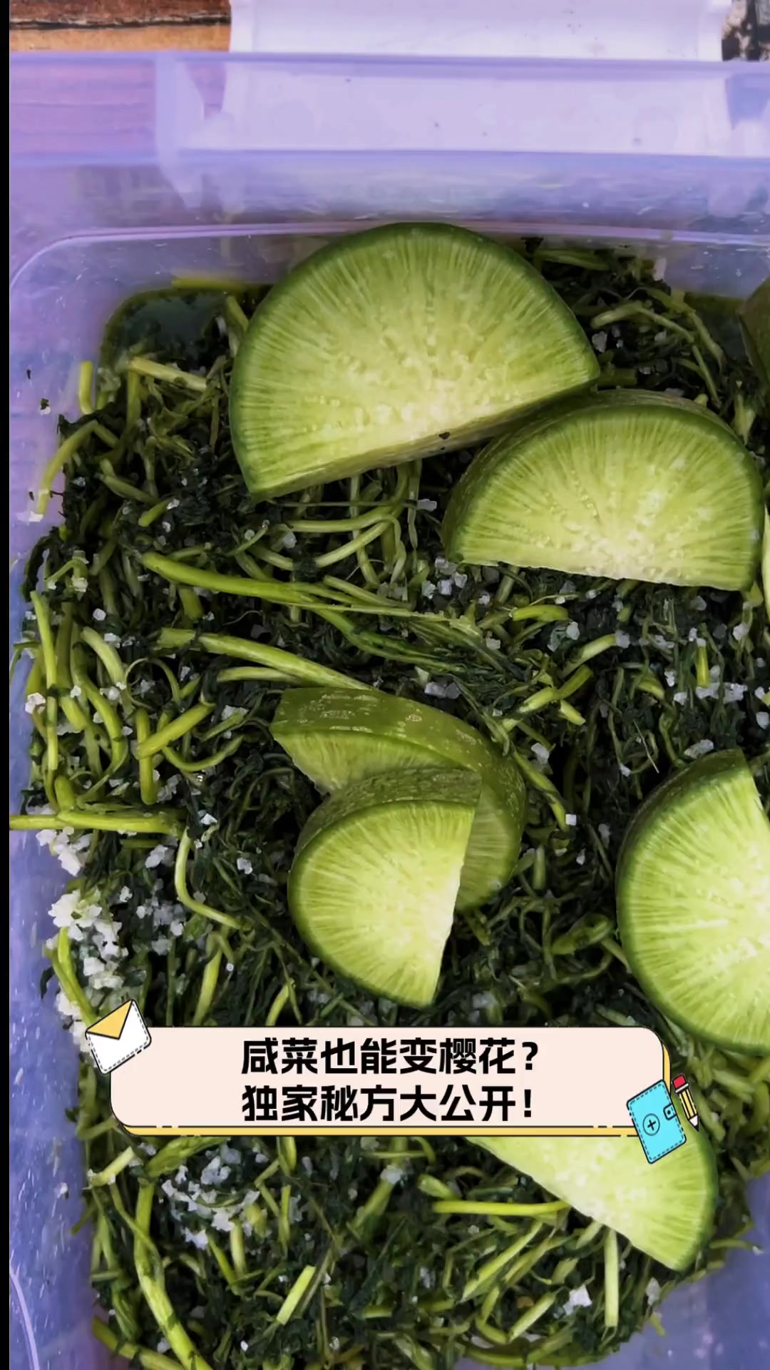 咸菜也能变樱花?独家秘方大公开!