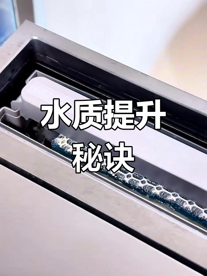 鱼缸过滤升级,干湿分离让水质更清澈!