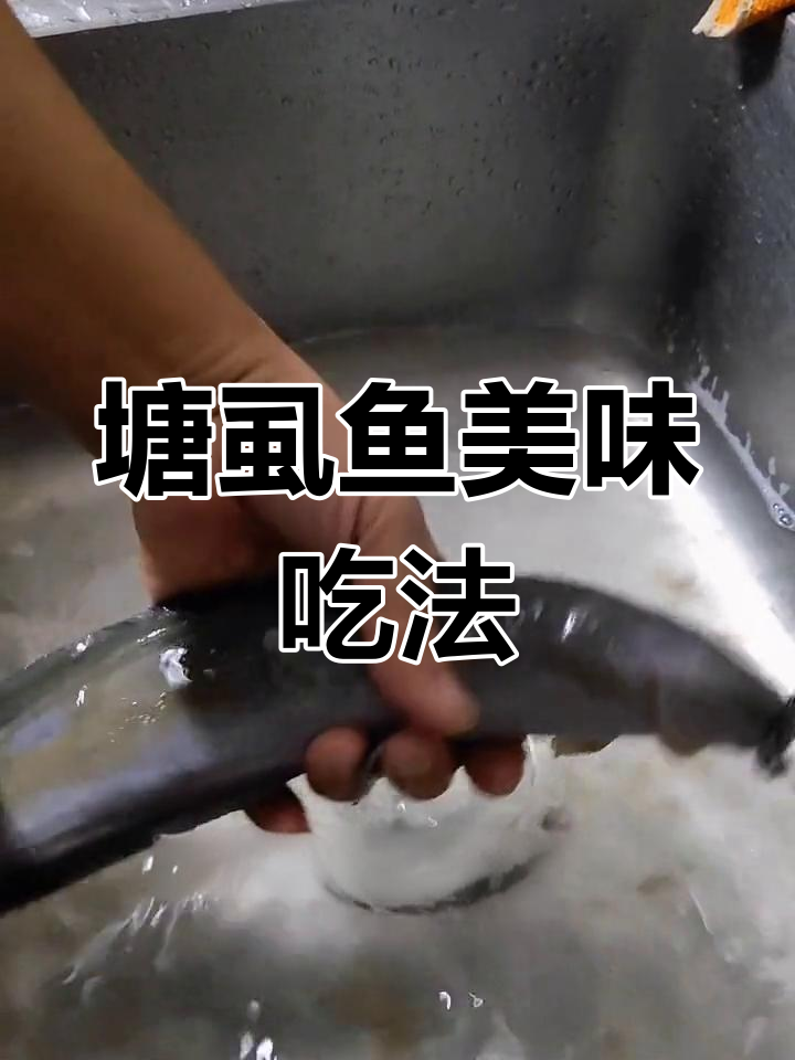 塘虱鱼多种做法推荐,黑豆煲、蒜蓉蒸都好吃