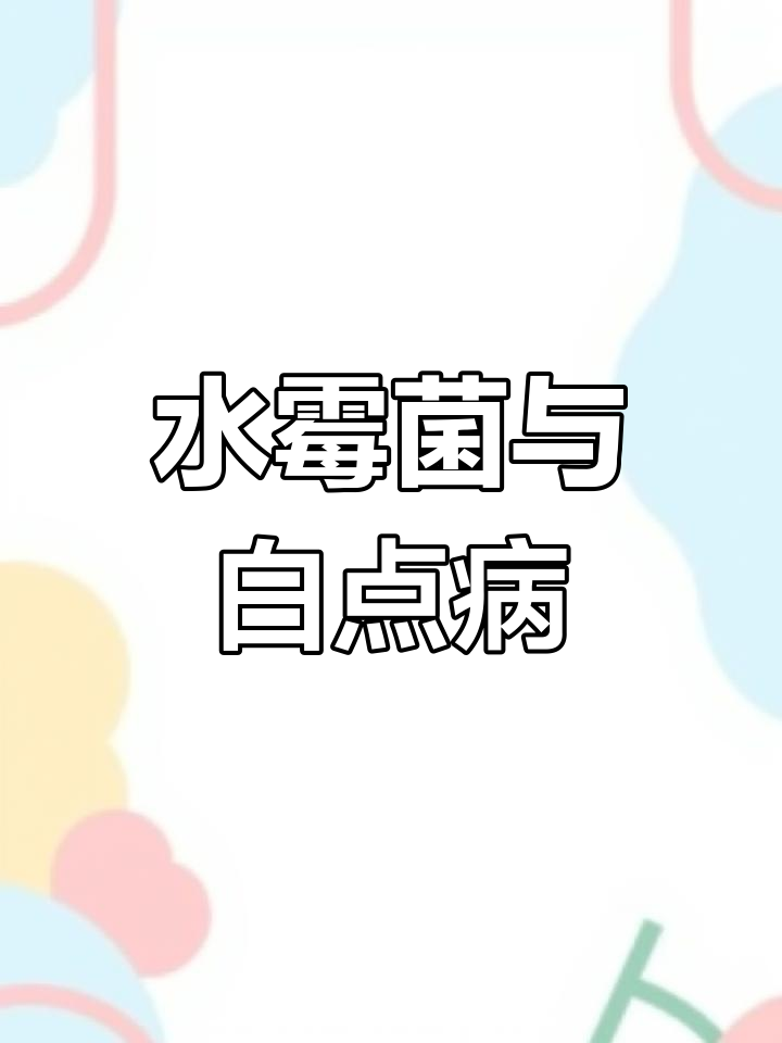 罗汉鱼水霉病解析