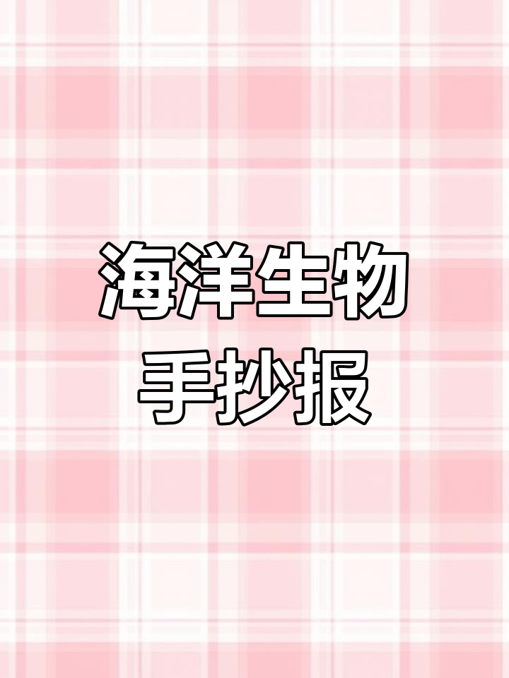 保护海洋动物,从我做起