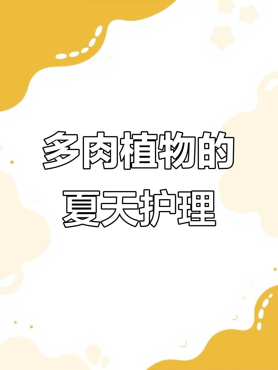 夏季高温来临,如何正确养护多肉植物?