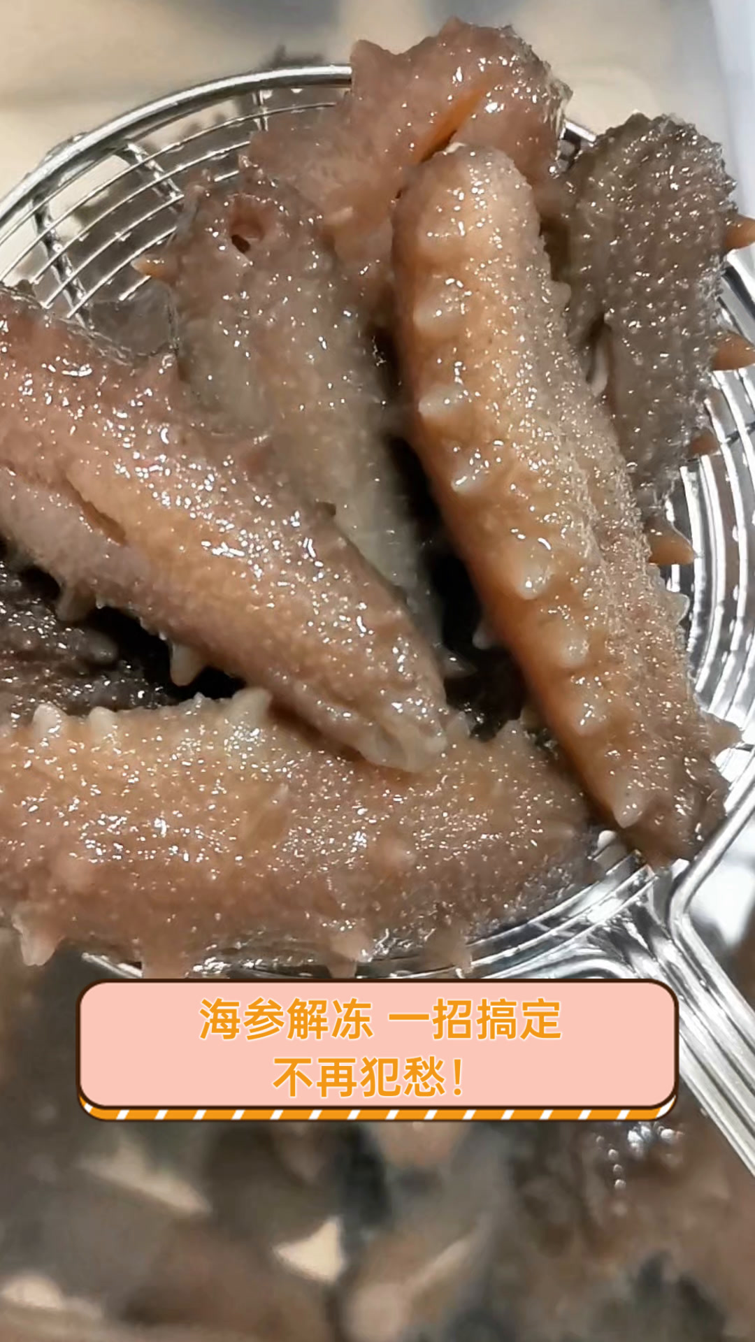 海参解冻,一招搞定,不再犯愁!