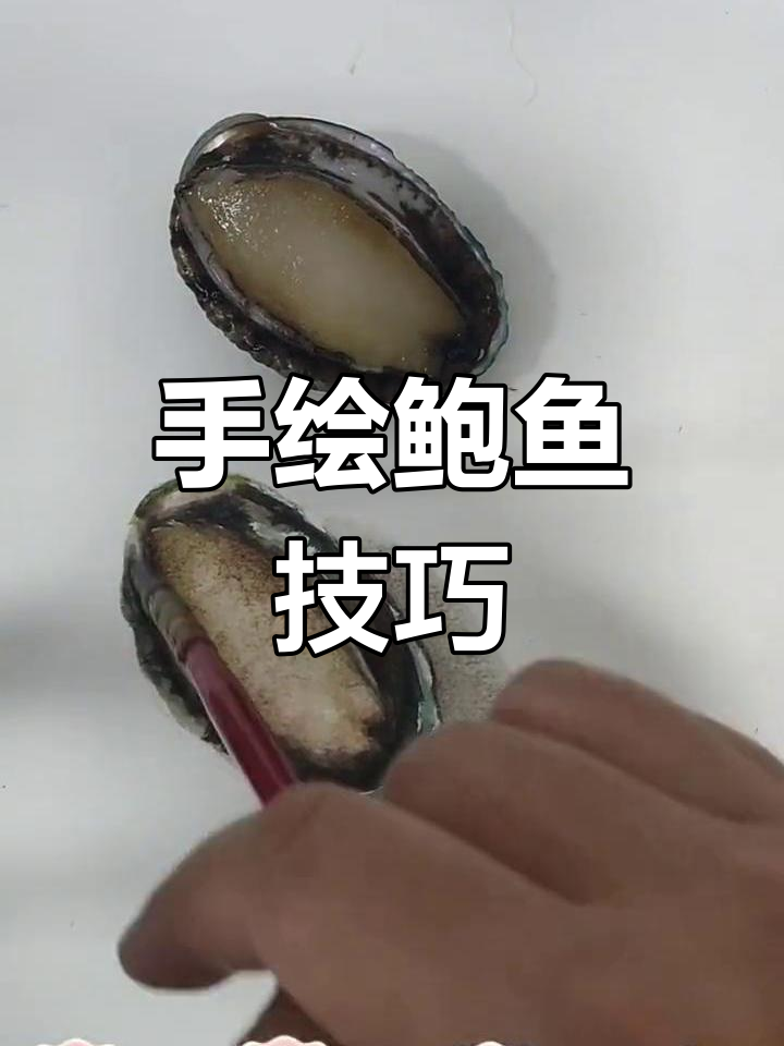 鲍鱼水彩画教程,轻松学会