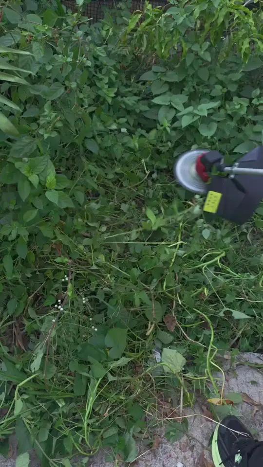 德力西电动割草:/ 机充电式锂电池除草机大功率家用草坪机BD