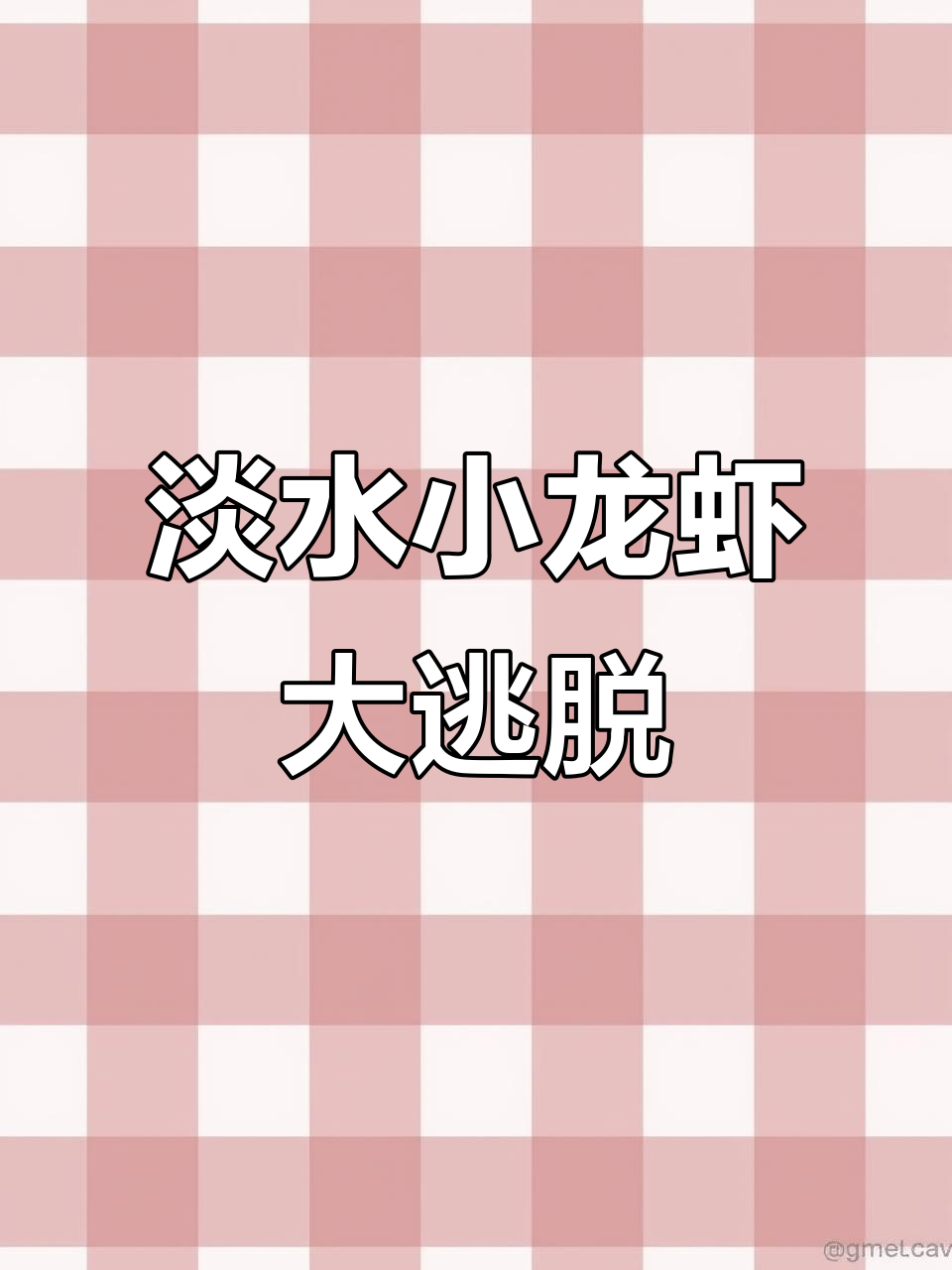 小龙虾自由！挑战家里养殖，看它们如何逃出小盒子