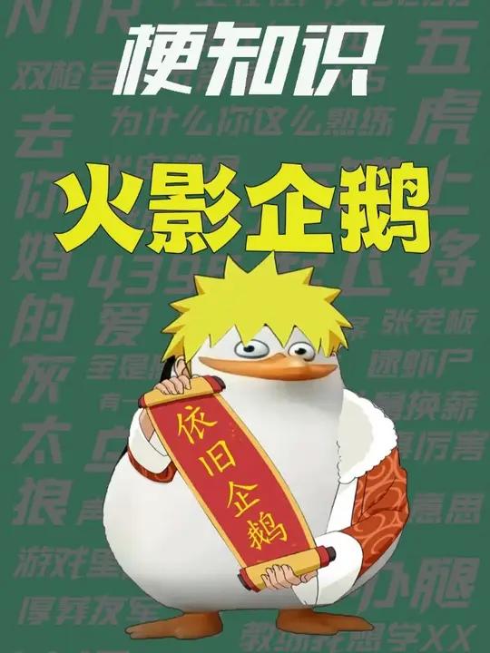 「梗知识」火影企鹅