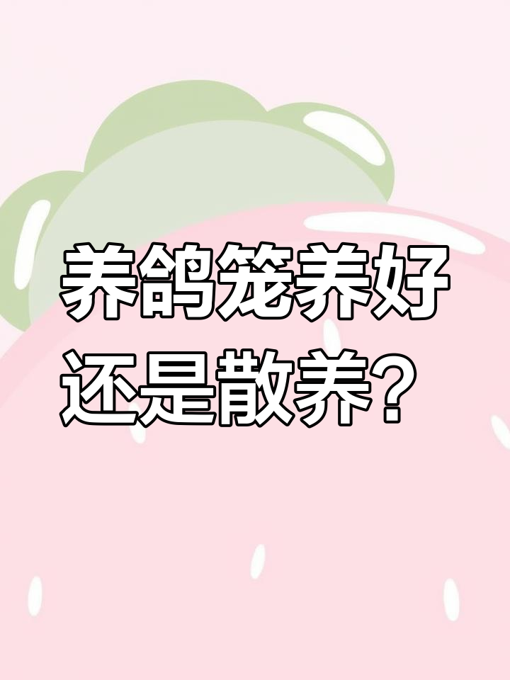 笼养与散养的优缺点分析,如何选择最适合的鸽子养殖方式
