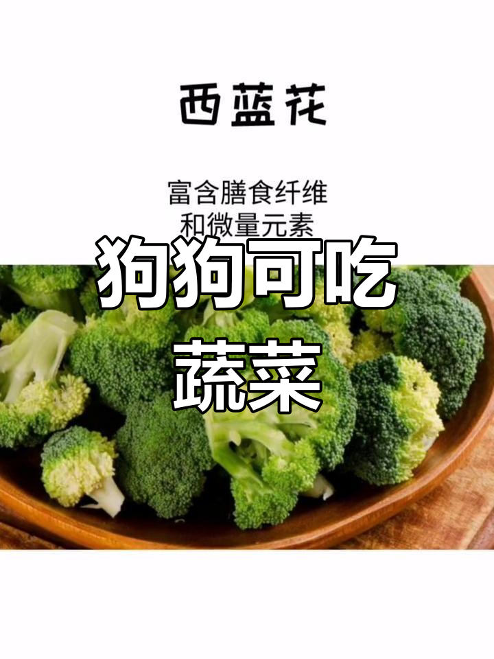 狗狗能吃哪些蔬菜?