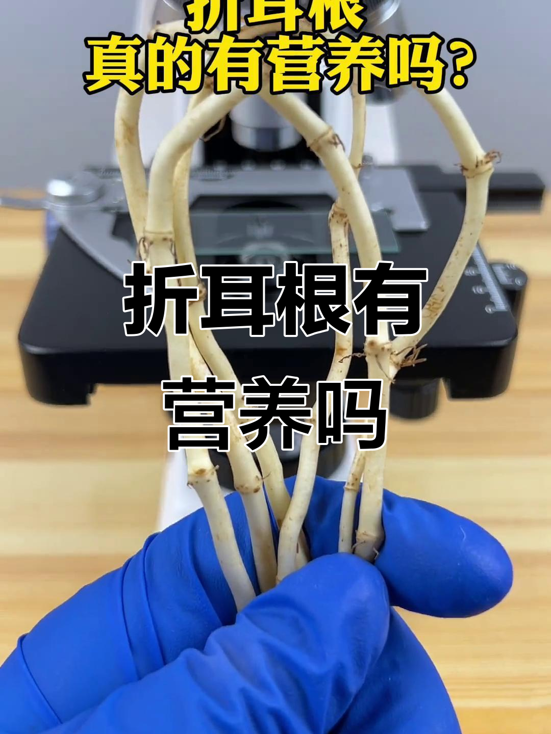 折耳根到底有没有营养？显微镜下揭秘