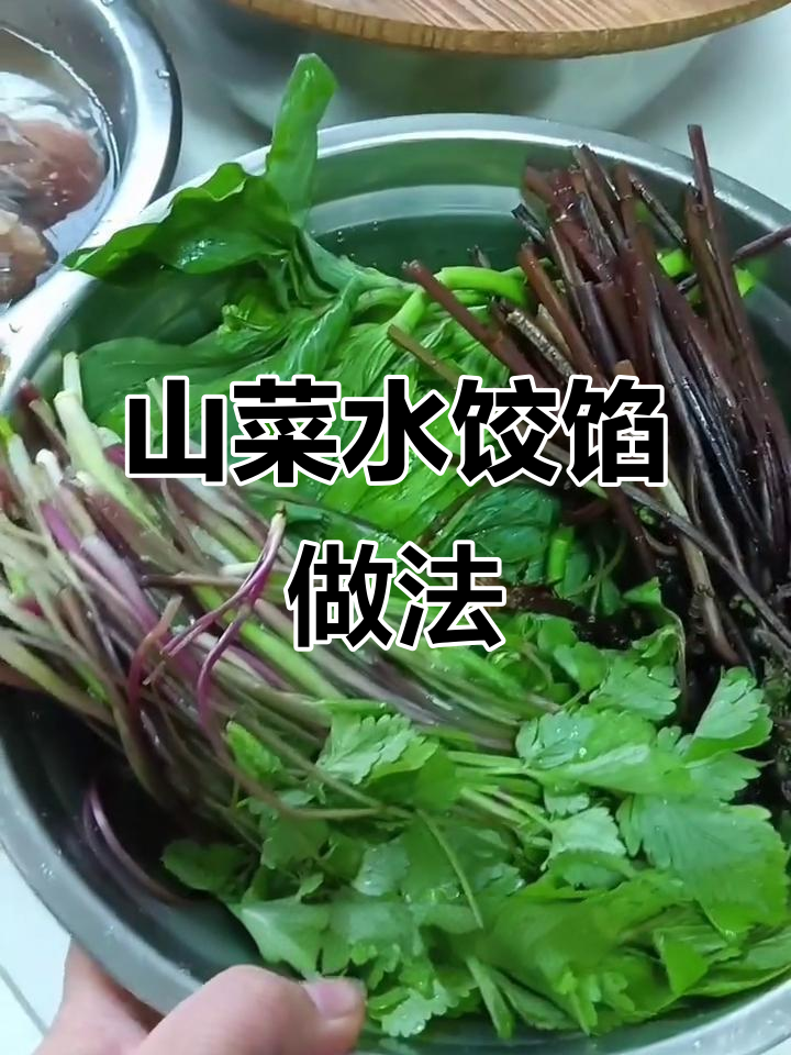 东北山菜饺子馅,大叶芹、蒜米子与猴腿儿搭配绝鲜