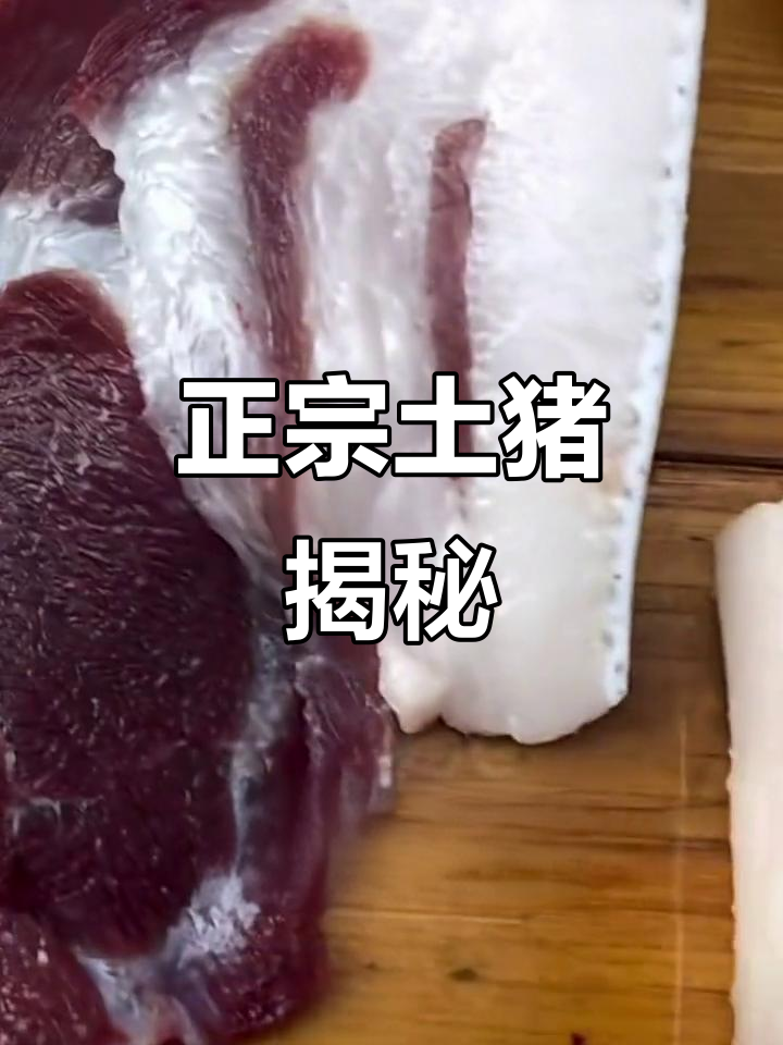 土猪肉的秘密:这种老品种肉质鲜美,几乎绝迹