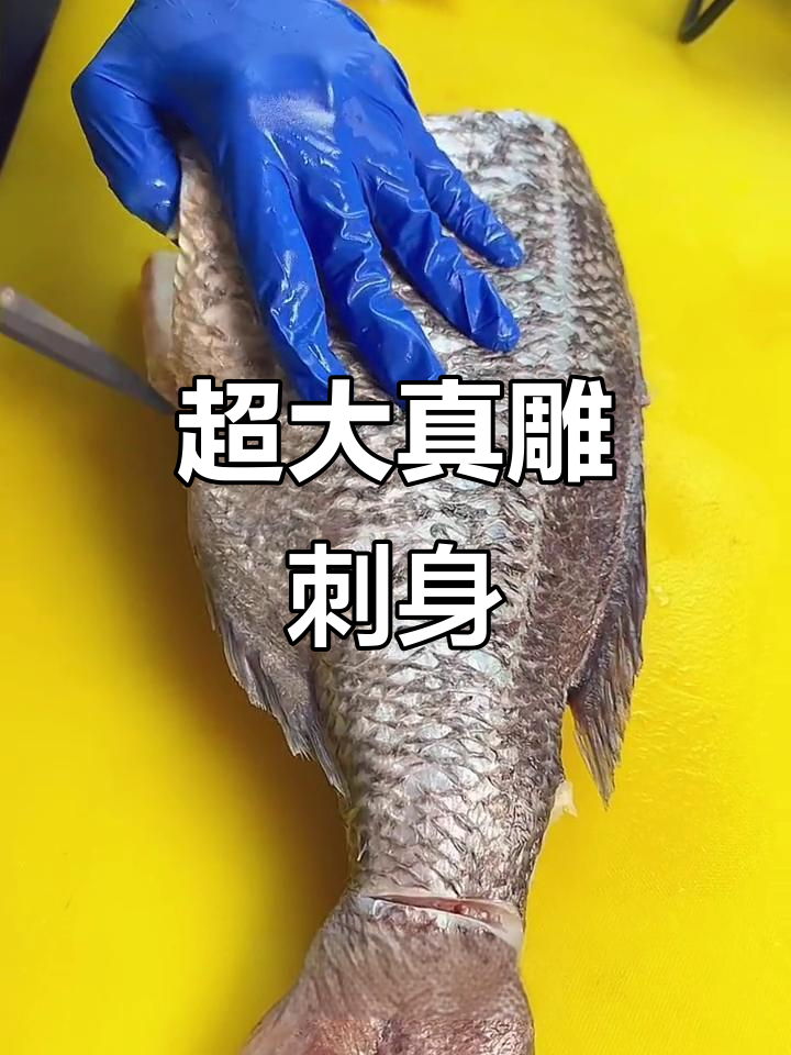 巨物真鲷鱼来袭,厚实糯香刺身体验!