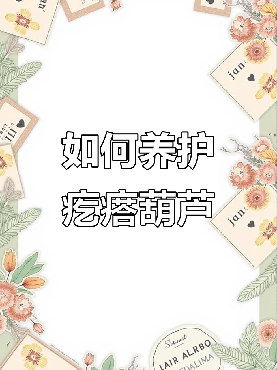 疙瘩葫芦保养技巧,防止开裂小妙招