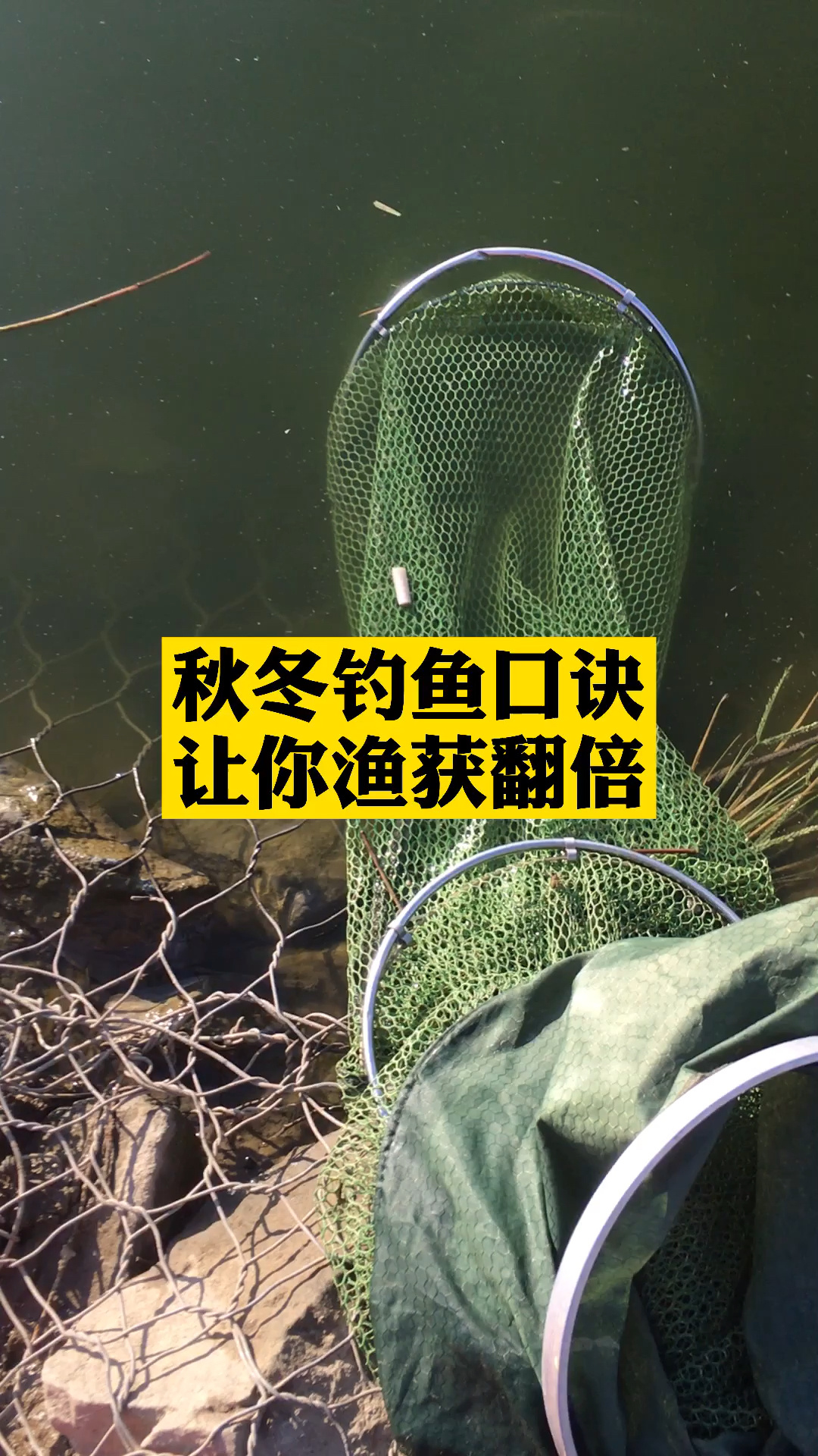 秋冬季钓鱼口诀