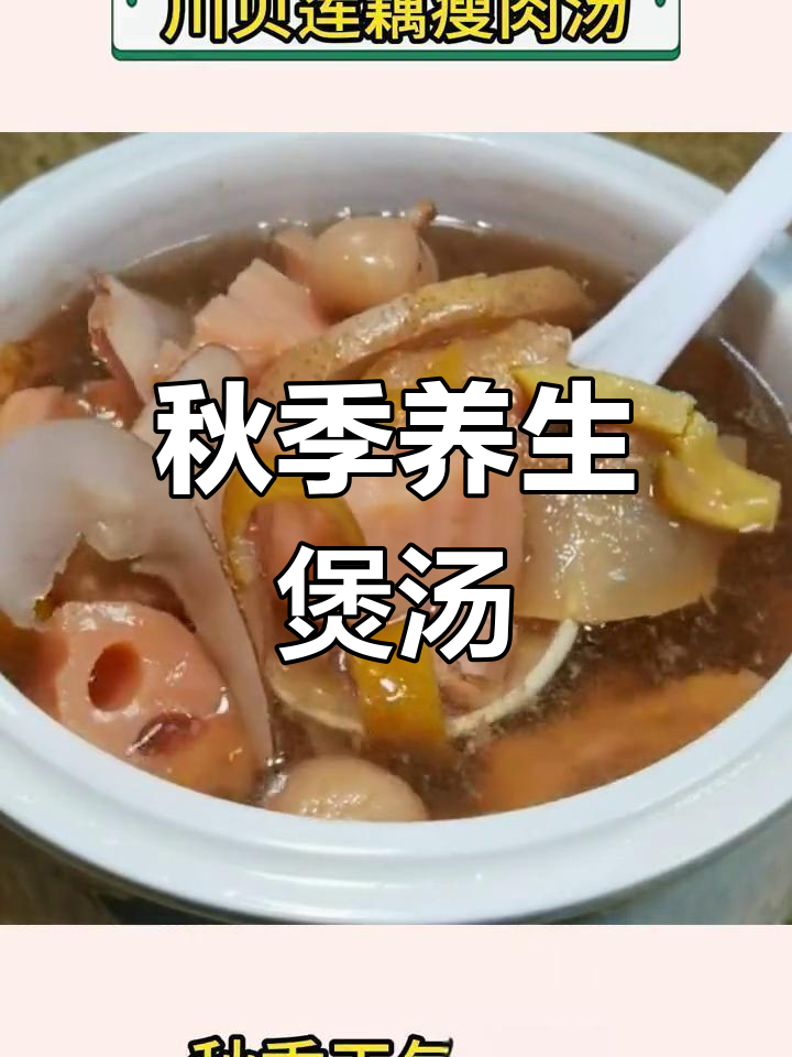 秋季干燥必备,川贝莲藕瘦肉汤润燥又营养