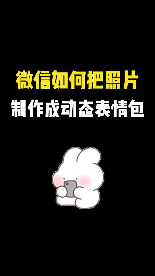 微信如何将照片制作成动态表情包?将自己的照片做成动态表情包,好玩好用哦,你学会了吗?关注我