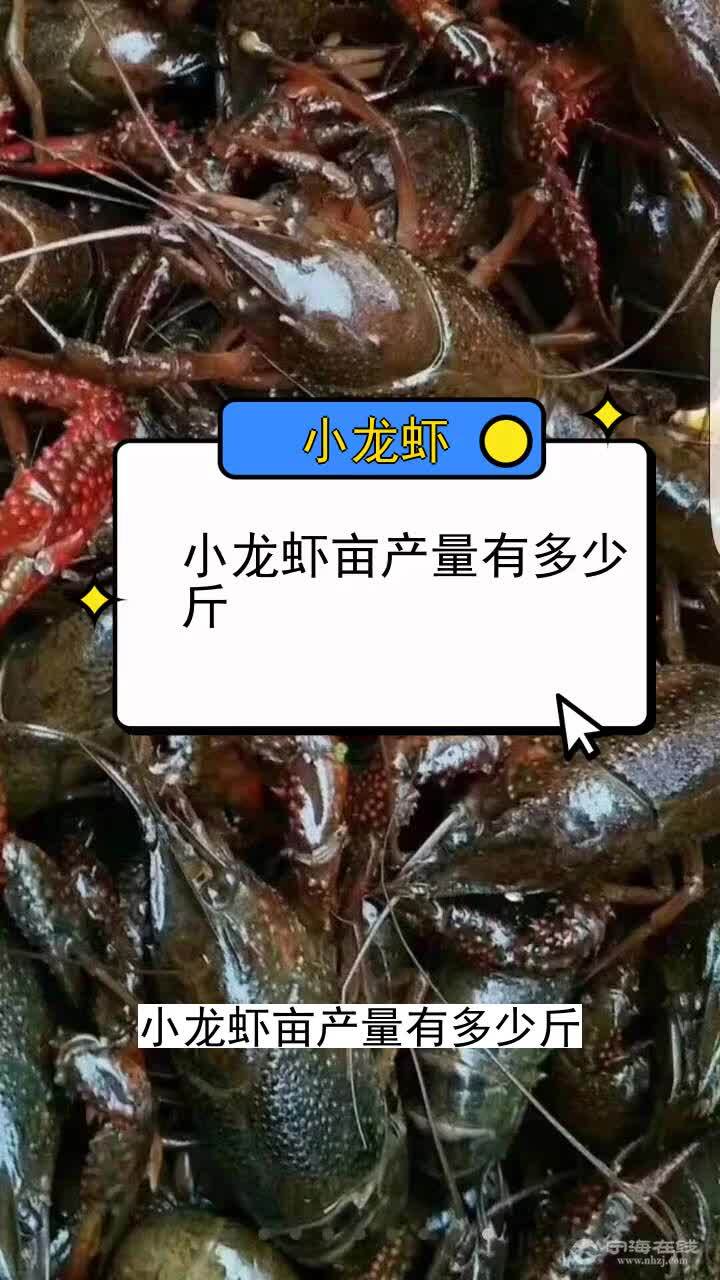 小龙虾亩产量有多少斤