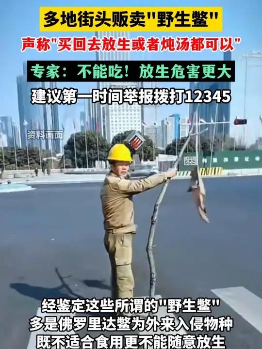 多地街头贩卖“野生鳖”,声称“买回去放生或者炖汤都可以”,专家:不能吃!放生危害更大,建议