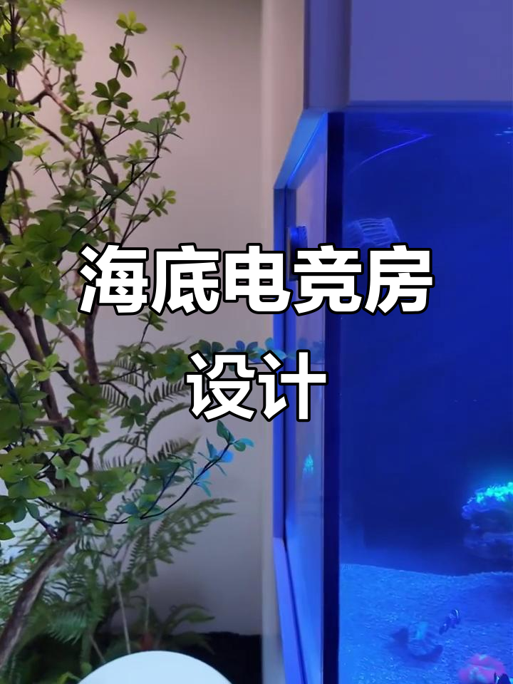 电竞房变海底世界，鱼缸隔断打造赛博圣地