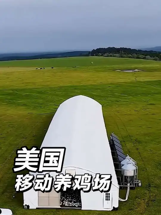 美国移动养鸡场