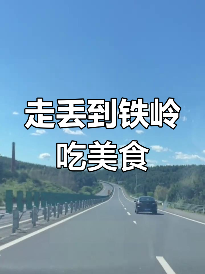 哈尔滨高速迷路,误闯铁岭品尝特色牛肉火勺与拌菜