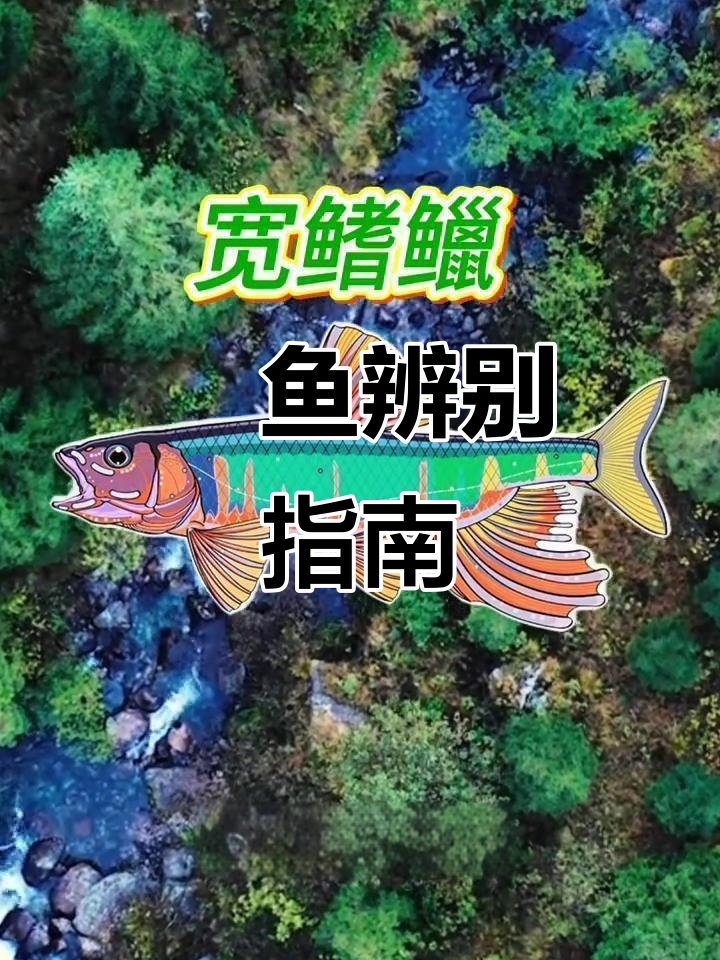 多年经验分享:三种鱼特征全解析